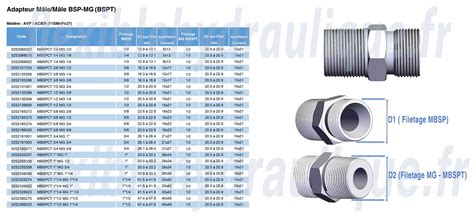 Adapteur Mâle Gaz Cylindrique 1 4 x Mâle Gaz Conique 1 2