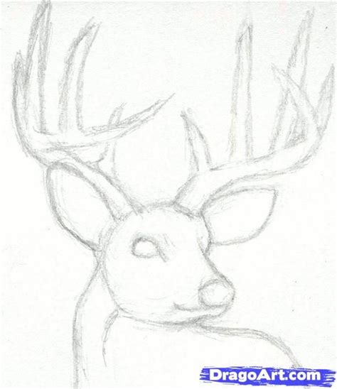 Animals Easy Deer Pencil Drawing - bmp-clown