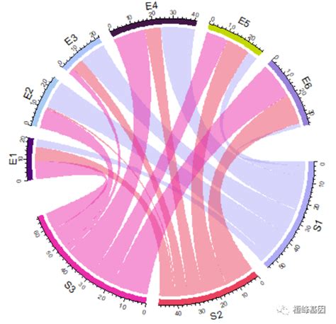 Figdraw 14 Sci 文章绘图之和弦图及文章复现（chord Diagram） 知乎