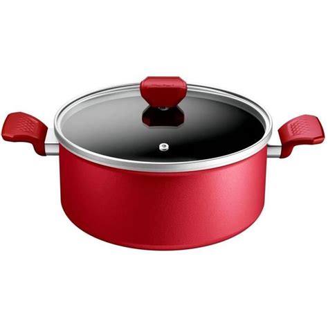 Tefal Faitout 24 Cm Seb Leroy Merlin