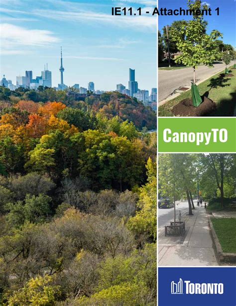 Pdf Tree Canopy Study Attachment The Urban Forest The