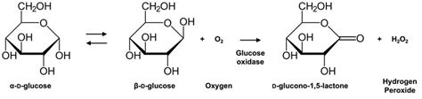 Glucose And Oxygen Reaction