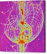 Streamer Chamber Photo Of Particle Tracks Photograph By Cern Science