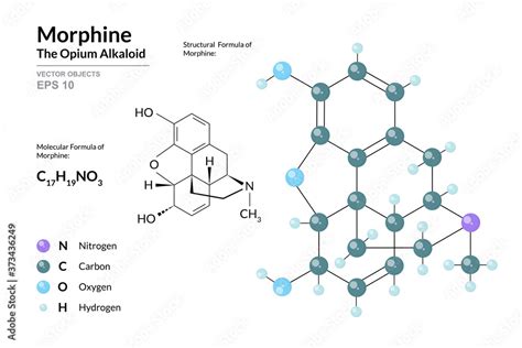 Vetor De Morphine Structural Chemical Formula And Molecule 3d Model Atoms With Color Coding