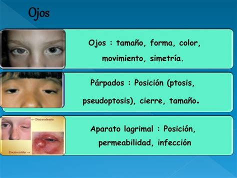 Presentacion Semiologia De Cabeza Y Cuello Ppt