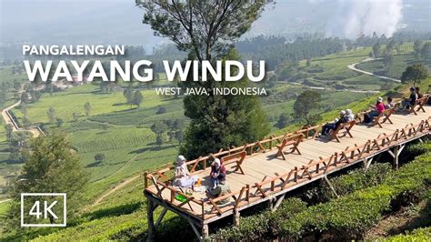 JALAN PAGI DI KEBUN TEH PANGALENGAN WAYANG WINDU PANENJOAN BANDUNG