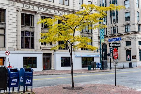 Corey Templeton Photography Foliage City