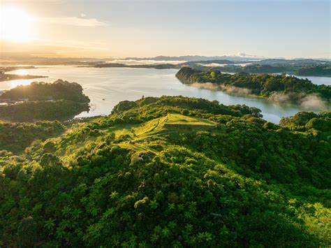 Commemorating the Life and Contributions of Robert Hutton 19