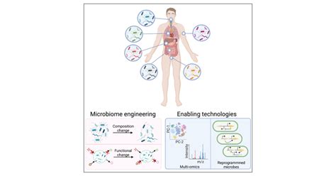 Microbiome And Human Health Current Understanding Engineering And