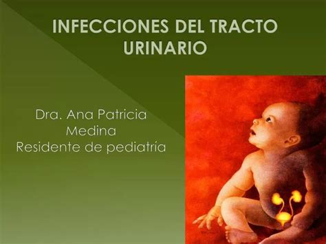 PPT INFECCIONES DEL TRACTO URINARIO PowerPoint Presentation Free