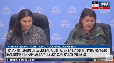 Diputados Analizan El Proyecto Para Tipificar La Figura De Violencia