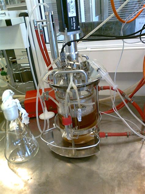 Biocatalysis and Biotransformation Research Group – iBB 