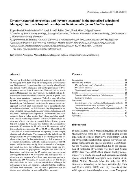 Diversity External Morphology And Reverse Taxonomy In The