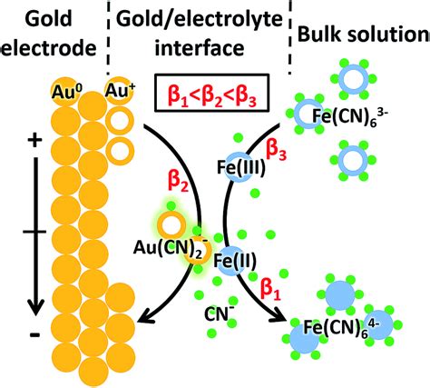 Proposed Mechanism Of The Interaction Between Fe CN 6 3 4 And The