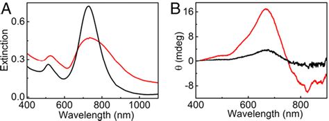 Figure 4 From Detection Of Amyloid Fibrils In Parkinsons Disease Using