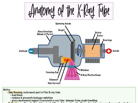 X Ray Tube Components Cheat Sheet Etsy UK Radiology Student