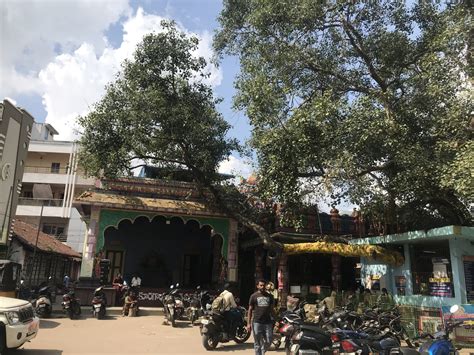 Sri Mavullamma Vari Temple , Bhimavaram, Andhra Pradesh 534201 – Our Temples