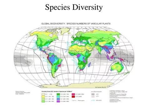 Ppt Species Diversity Powerpoint Presentation Free Download Id 3147186