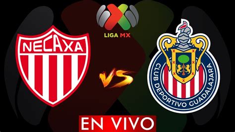 NECAXA VS GUADALAJARA EN VIVO LIGA BBVA MX JORNADA 9 CLAUSURA 2024