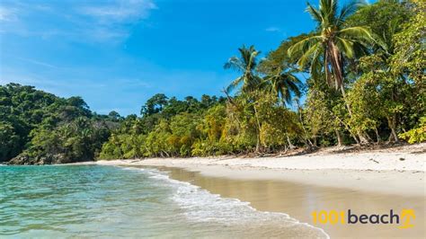 Manuel Antonio Beach