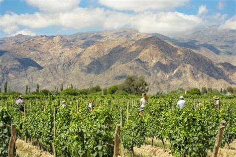 Visit Argentina Novedades Qué hacer en Cafayate Descubre la magia