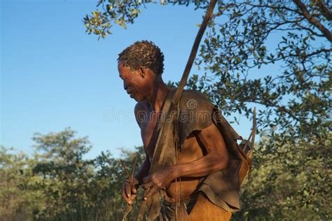 Botswana Bushmen Editorial Stock Photo Image Of Nomad 93876943