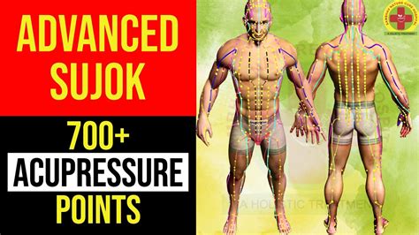 Acupressure Points Join To Learn Advanced Sujok Therapy Online