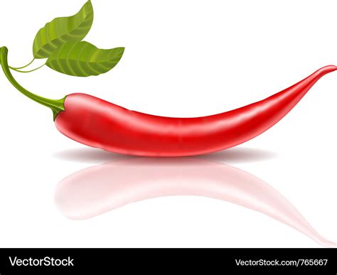 Chili Pepper Royalty Free Vector Image Vectorstock