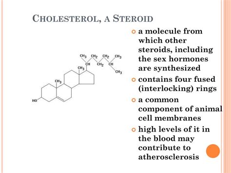 Ppt Lipids Powerpoint Presentation Free Download Id2720690