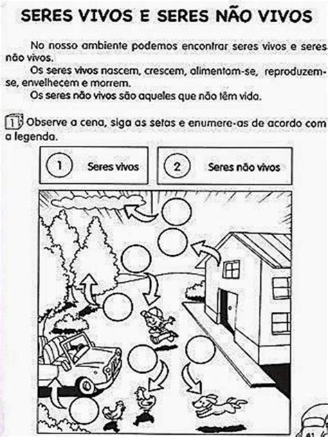 Ensino De Ci Ncias Plano De Aula Ciencias Ano Componentes Do