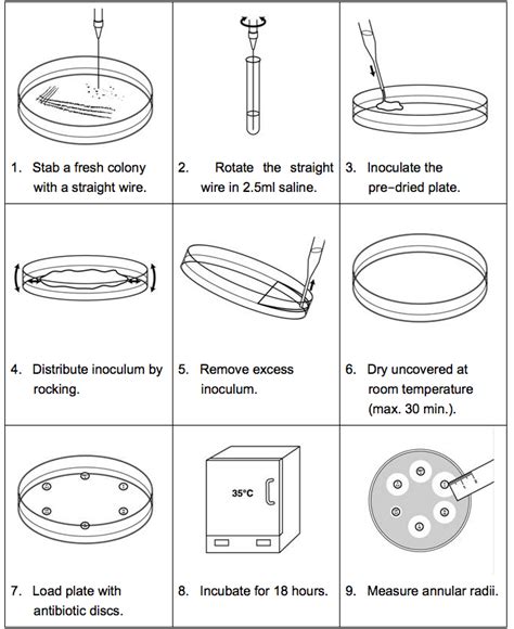 How To Prepare Agar For Bacterial Culture At Jason Garcia Blog