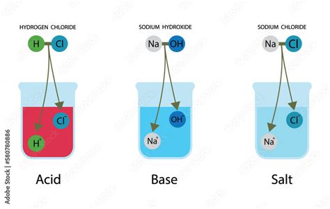 Vetor De Illustration Of Chemistry Acids Salt And Bases Hydrogen