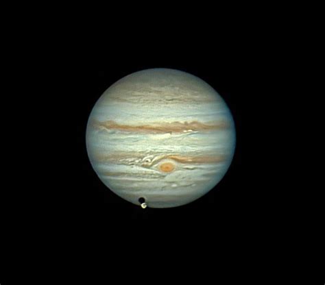 星がきれいな冬。星空の楽しみ方を紹介します！｜静岡新聞アットエス