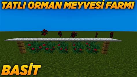 HASAR ALMADAN EN BASİT PRATİK TATLI ORMAN MEYVESİ FARMI minecraft