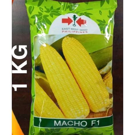 MACHO F1 HYBRID SWEET CORN SEEDS 1 KILO EAST WEST SEEDS Shopee