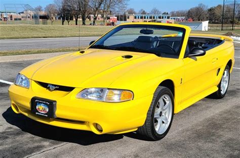 For Sale Ford Mustang Svt Cobra Convertible Chrome Yellow