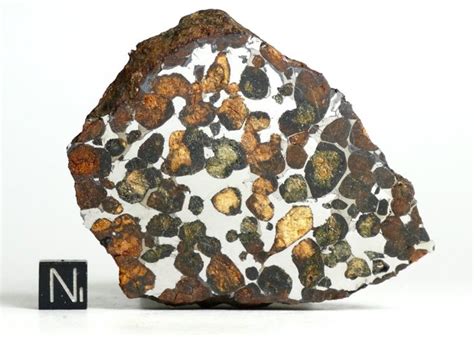 Sericho Breathtaking Pallasite Stony Iron Meteorite 65×21×78 Cm 192