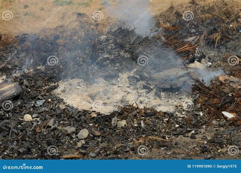 Ashes On An Extinct Fire Close Up Stock Photo Image Of Campfire