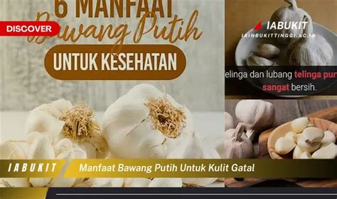 Temukan 7 Manfaat Bawang Putih Untuk Kulit Gatal Harap Kamu Intip