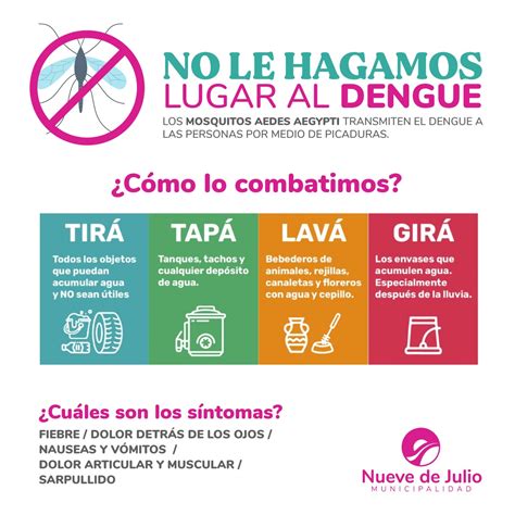 Recomendaciones Para La Prevención Del Dengue Semanario Extra