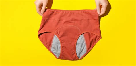 Period underwear