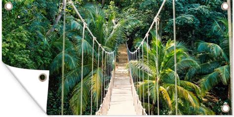 Wanddecoratie Buiten Jungle Palmboom Brug Natuur Planten