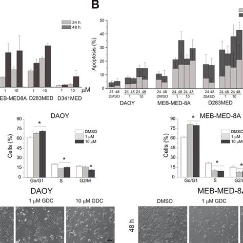 Determination Of Anti Proliferative And Pro Apoptotic Effects Of