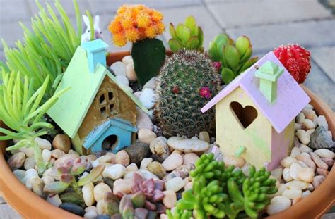 A Cactus Fairy Garden | Gluesticks