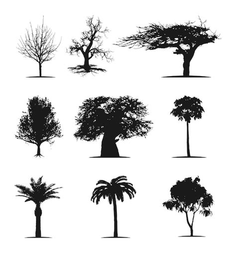 Silhouette D Arbre Illustration D Arbre Noir Vecteur Premium