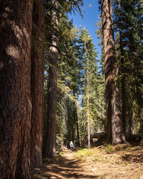 The El Capitan Hike How To Walk To The Top Of Yosemites Icon — Walk