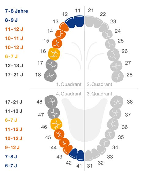 Zahndurchbruch Zahnen Baby Bleibende Z Hne
