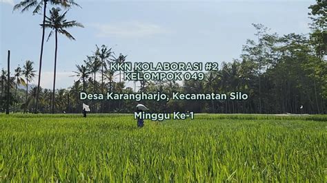 Minggu Ke Kkn Kolaborasi Kelompok Tahun Desa