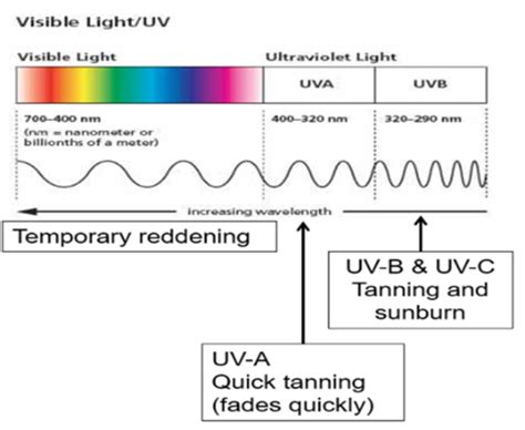 B Oz Wave And Particle Theory Of Light Light And Matter