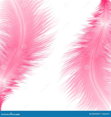 Abstract Background With Feathers Stock Vector Illustration Of